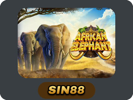 African Elephant